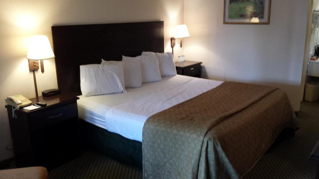 Quality Inn Tampa Lake Magdalene Pokoj fotografie